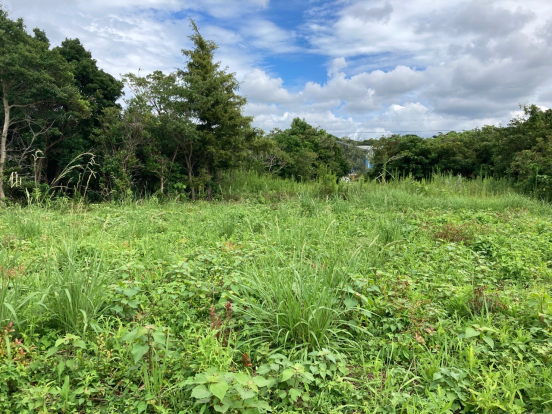 【売土地】兵庫県洲本市五色町鳥飼浦