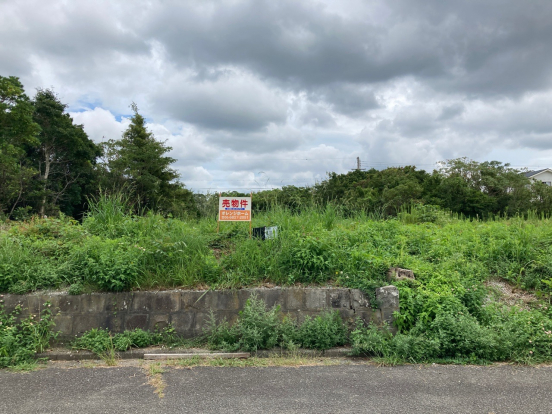 【売土地】兵庫県洲本市五色町鳥飼浦